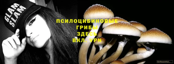 mix Алексин
