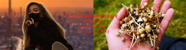 COCAINE Алексеевка
