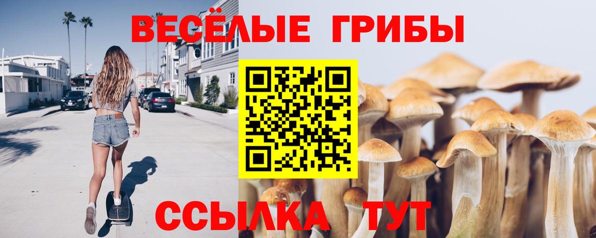 Галлюциногенные грибы мицелий  Вход с VPN  Прохладный 