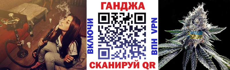 продажа наркотиков  площадка наркотические препараты  Бошки марихуана конопля  Прохладный 